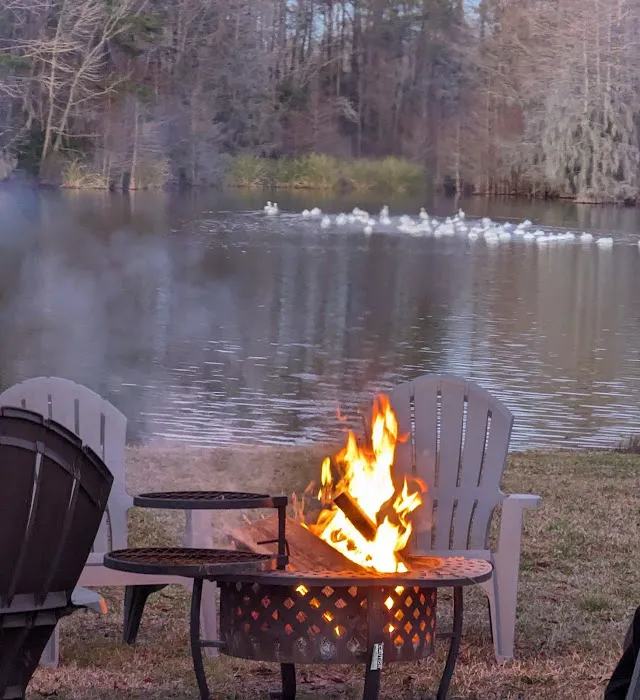 Bells Marina Campground Picture 8