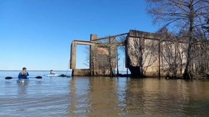 Taylor's Landing and Campground Picture 5