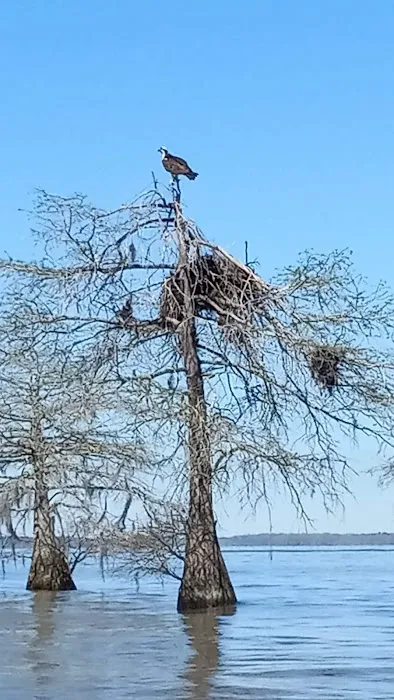 Taylor's Landing and Campground Picture 10