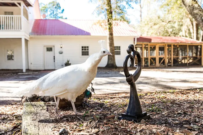 Natural Gathering Grounds Picture 7