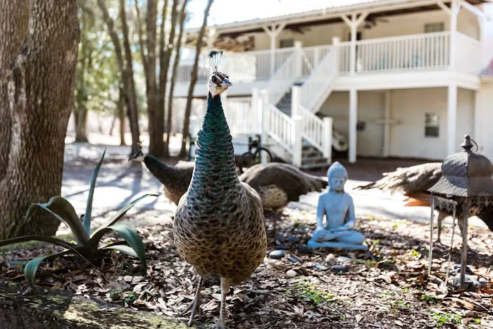 Natural Gathering Grounds Picture 9