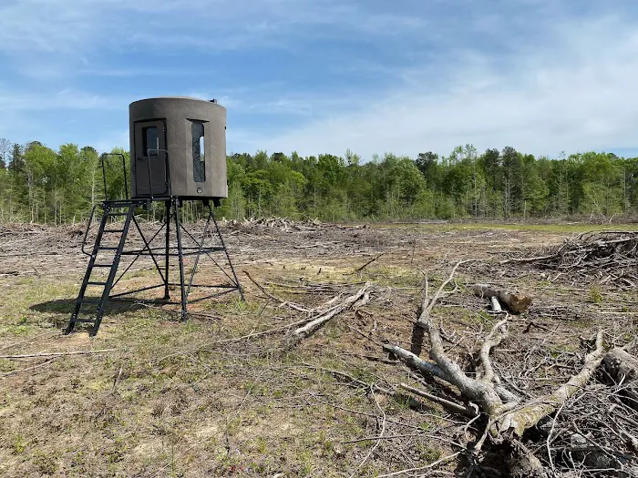 Whitetail Hollow Picture 3