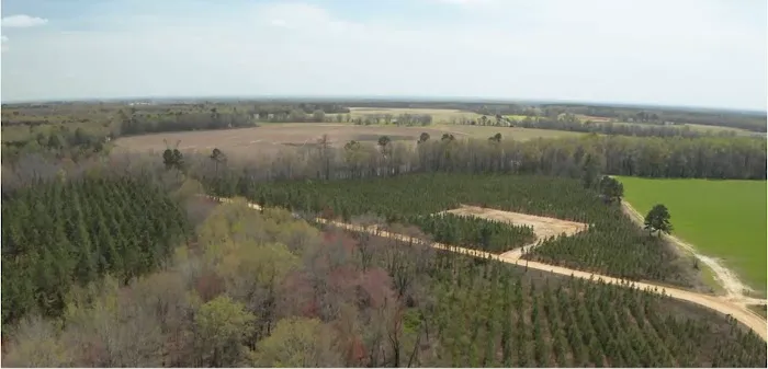 Whitetail Hollow Picture 1