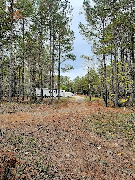 Trails 2 Paradise RV Park Picture 3