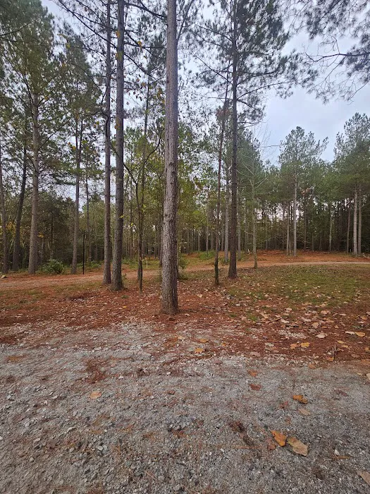 Trails 2 Paradise RV Park Picture 5