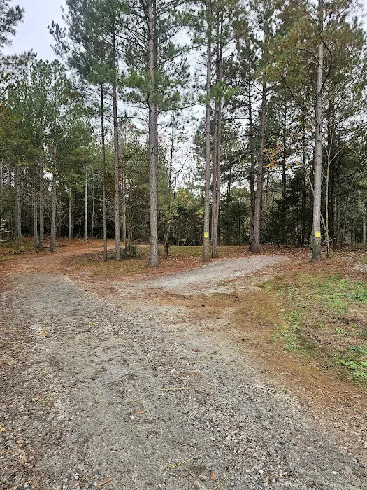 Trails 2 Paradise RV Park Picture 4