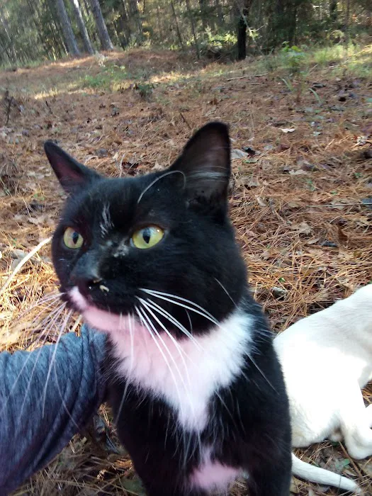 Trails 2 Paradise RV Park Picture 7