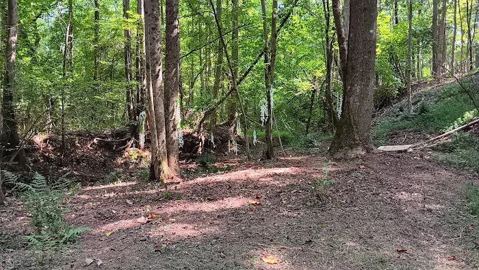 Stacie's Tiny House Picture 6