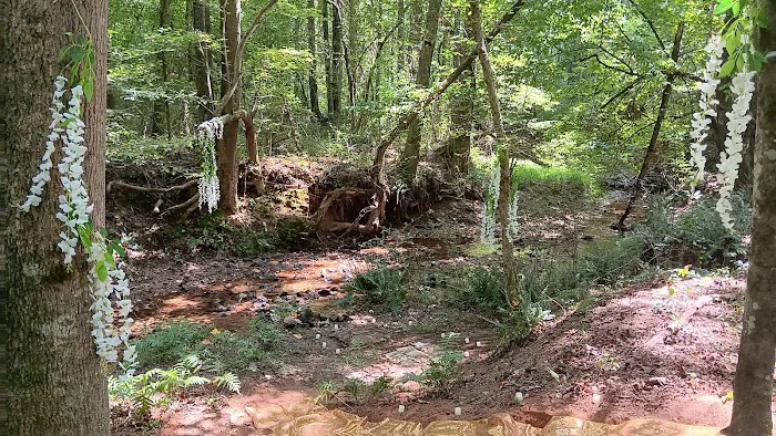 Stacie's Tiny House Picture 7