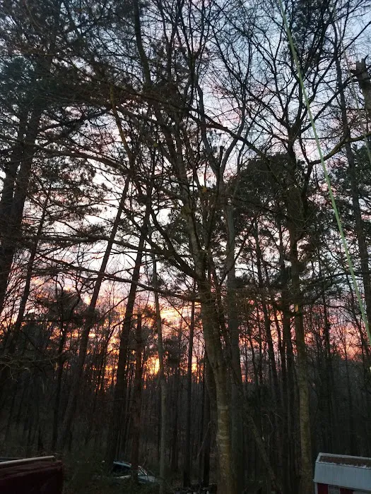 Tugaloo island Picture 5