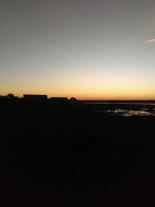 Overlook Cove Campground (little creek) Picture 4