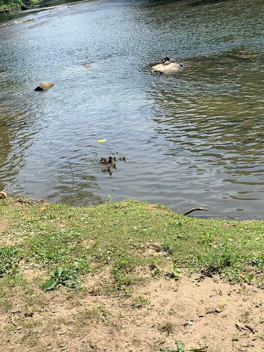 Cherokee Campground & Craig's Cabins Picture 2
