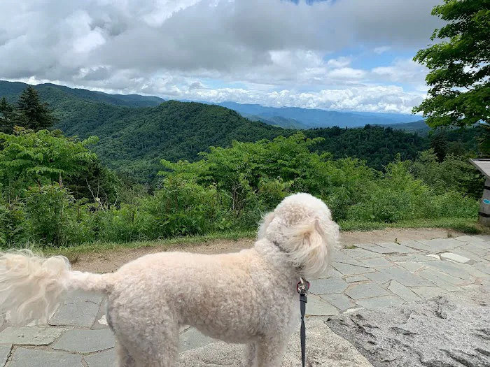 Cherokee Campground & Craig's Cabins Picture 6