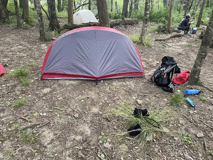 Carter Gap Shelter Picture 4