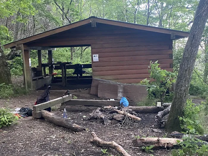 Carter Gap Shelter Picture 3