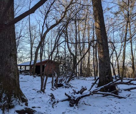 Carter Gap Shelter