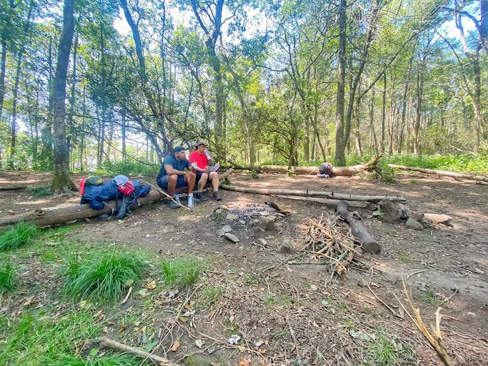 Carter Gap Shelter Picture 8