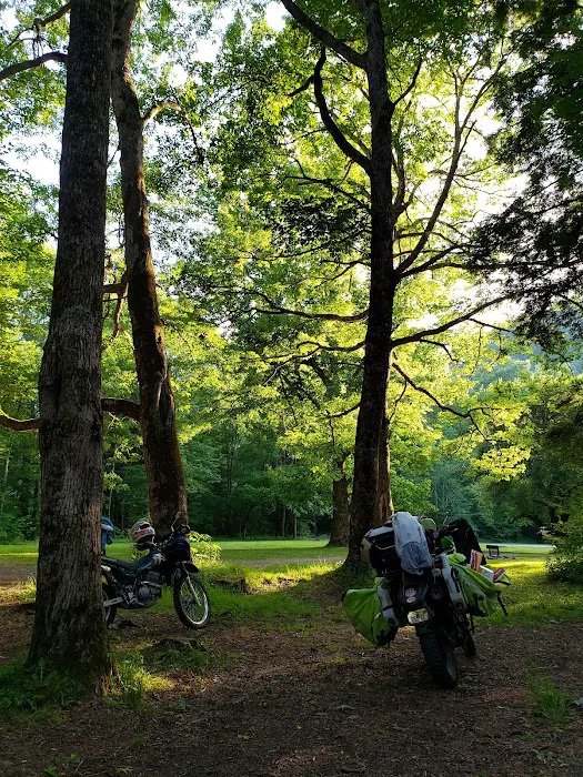 Hurricane Creek Primitive Campground Picture 4