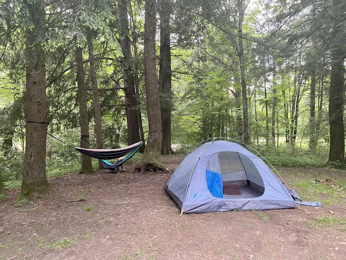 Hurricane Creek Primitive Campground Picture 1