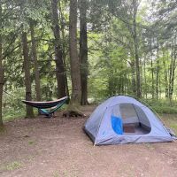 Hurricane Creek Primitive Campground ico