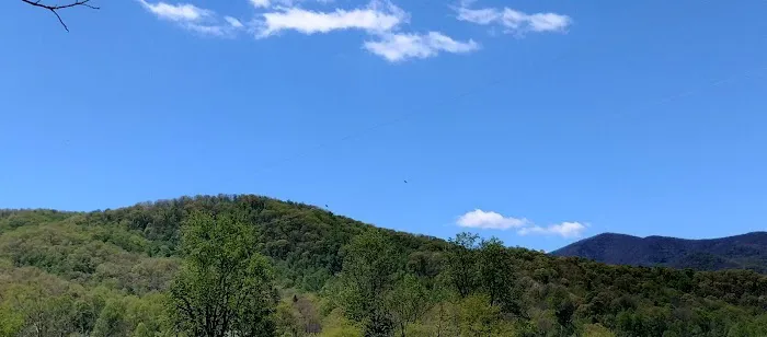 Hurricane Creek Primitive Campground Picture 5