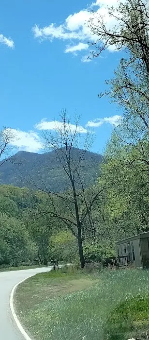 Hurricane Creek Primitive Campground Picture 10