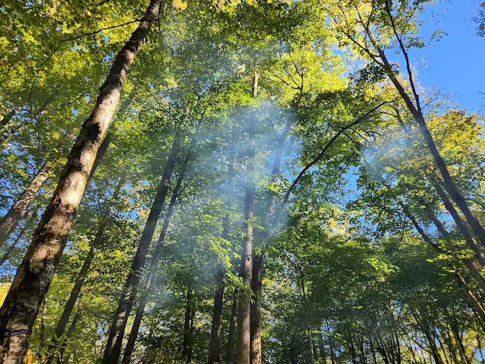 Standing Indian Campground Picture 2