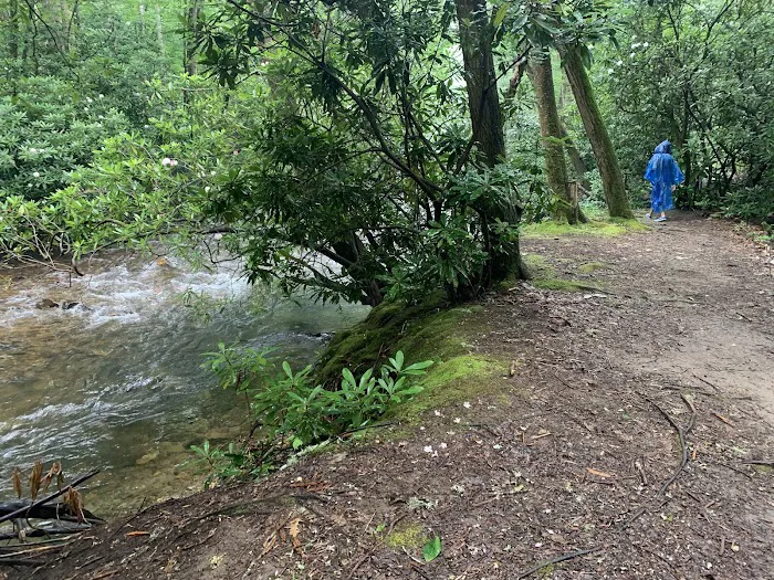 Standing Indian Campground Picture 4