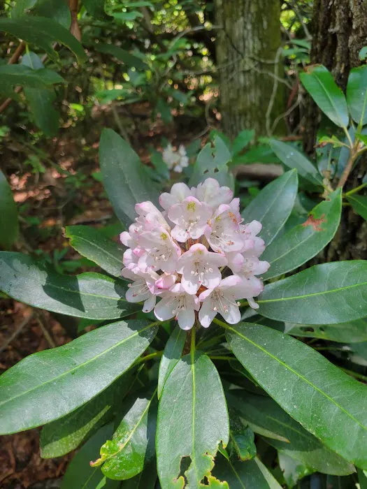 Standing Indian Campground Picture 5