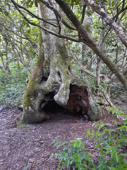Standing Indian Campground Picture 15