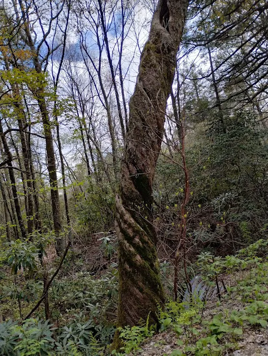 Standing Indian Campground Picture 14