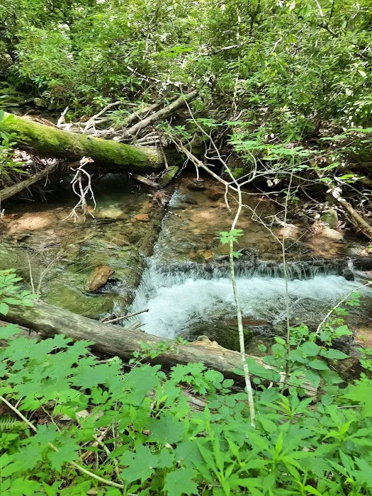Standing Indian Campground Picture 16