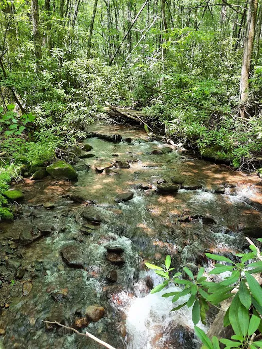 Standing Indian Campground Picture 17