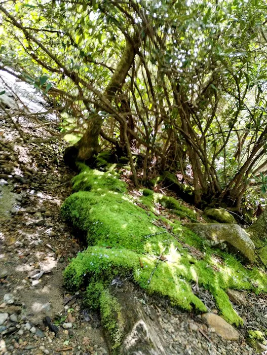 Standing Indian Campground Picture 18