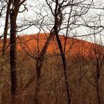 Standing Indian Shelter