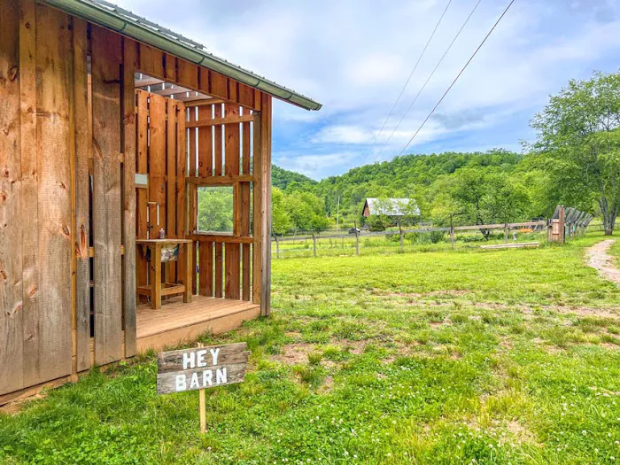 Winding Stair Campground Picture 2