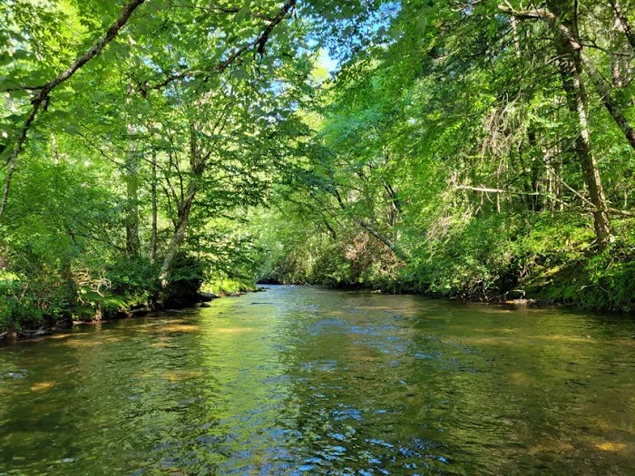 Winding Stair Campground Picture 4