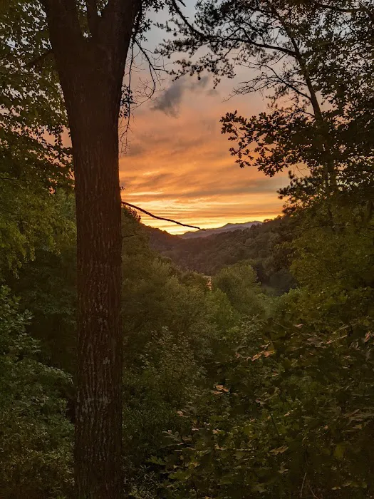 Tucked Away Cottage Picture 4