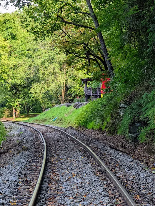 Tucked Away Cottage Picture 7