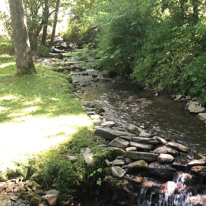 Kirklands Creek Campground and Cabins Picture 7
