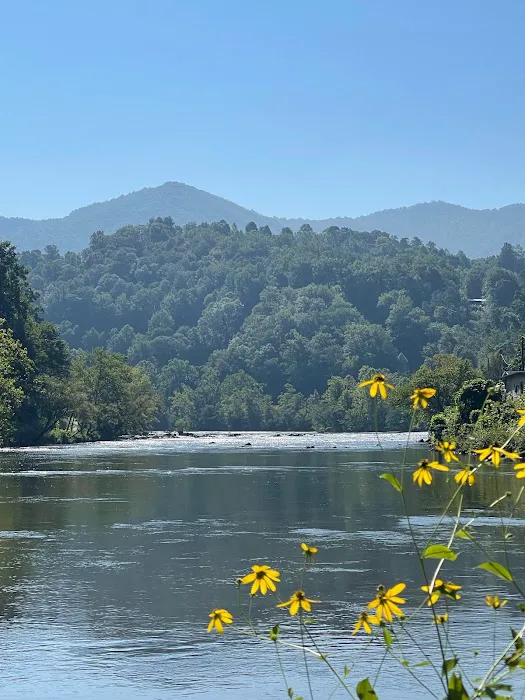 Comfort Spot Camp & Cottage Picture 6