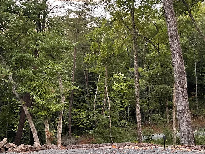 Comfort Spot Camp & Cottage Picture 4