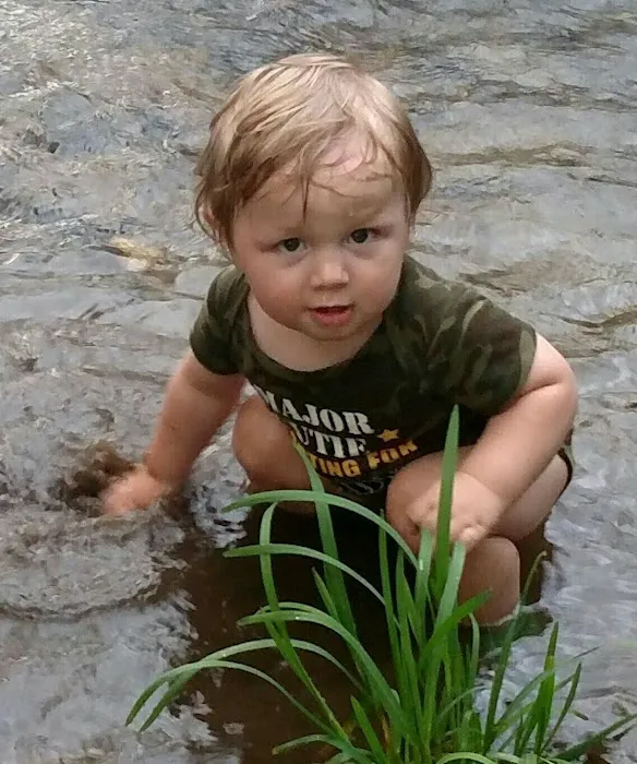 Cooper Creek Campground Picture 2