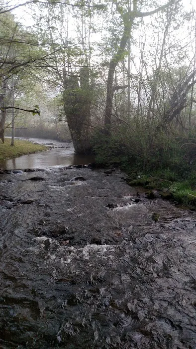 Cooper Creek Campground Picture 1