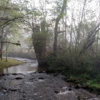 Cooper Creek Campground ico