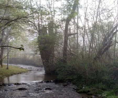 Cooper Creek Campground