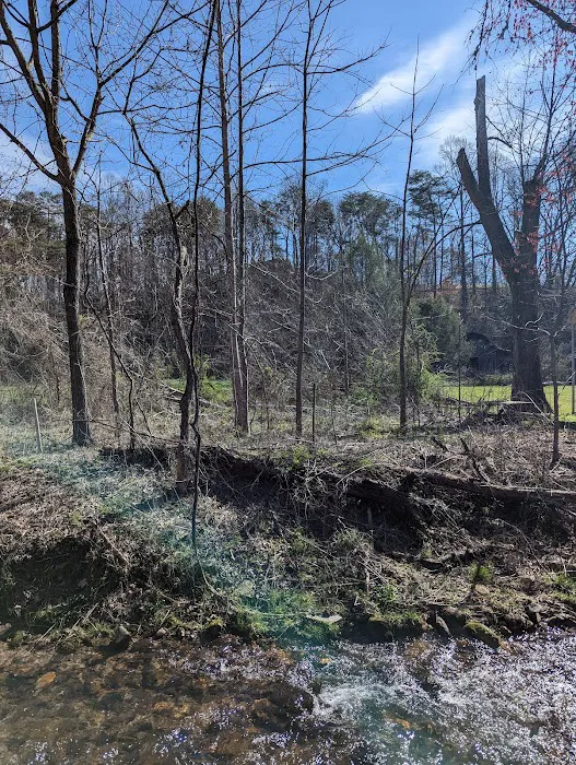 Cooper Creek Campground Picture 5