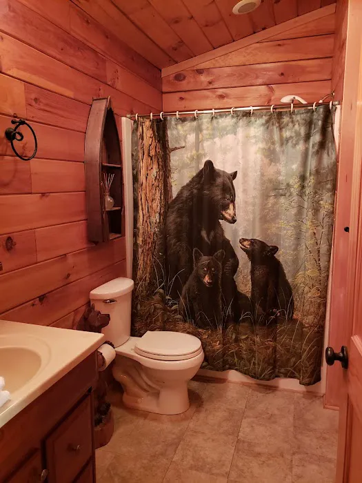 Bear Bottoms Chalet Picture 1