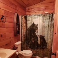 Bear Bottoms Chalet ico