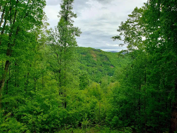 Bear Bottoms Chalet Picture 4